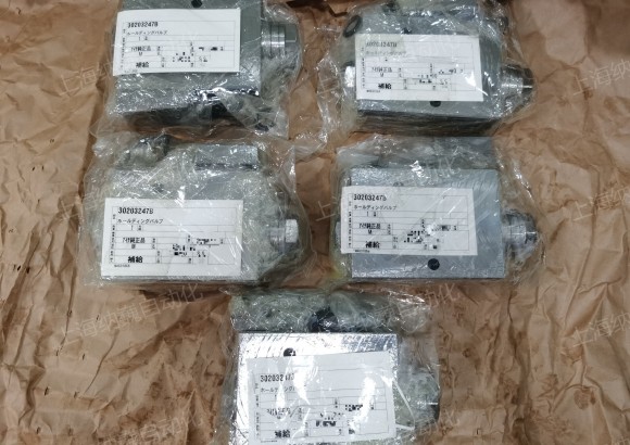 30203247B,日本AICHI支撑阀